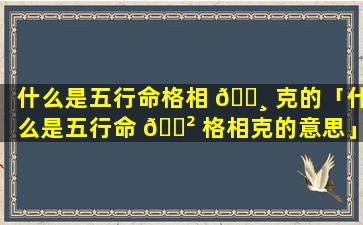 什么是五行命格相 🌸 克的「什么是五行命 🌲 格相克的意思」